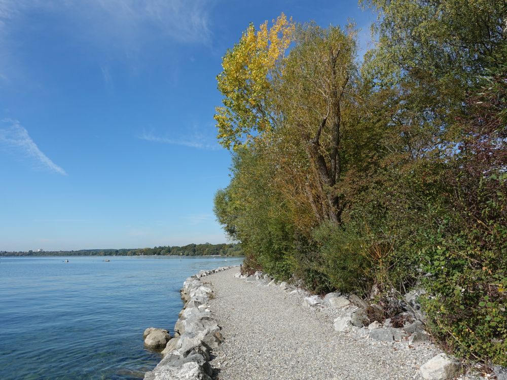 Uferweg bei Manzell