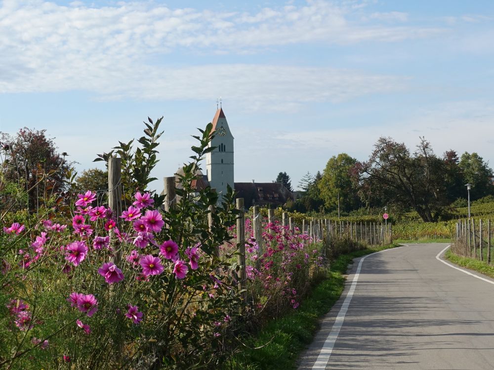 Kirche Hagnau