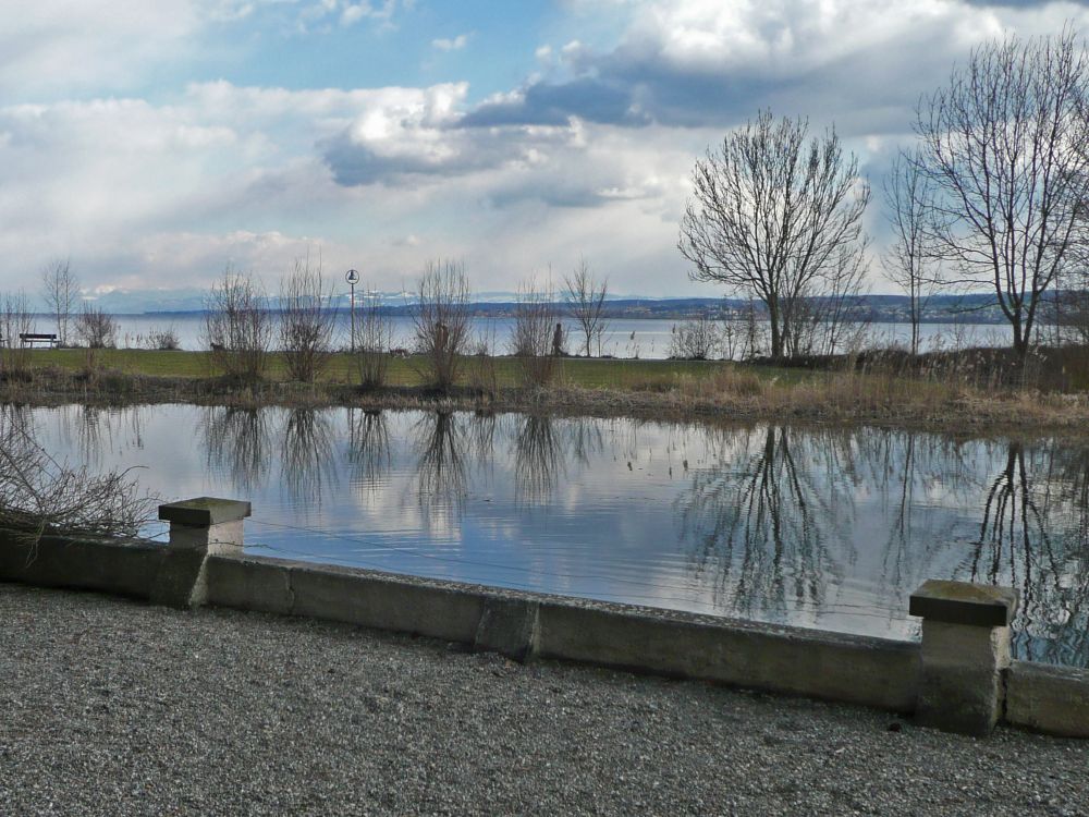 Teich am Schloss Seeheim