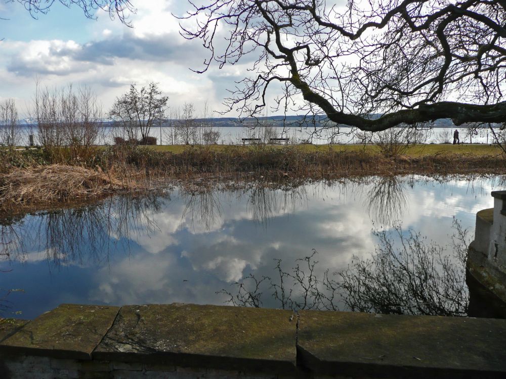 Teich am Schloss Seeheim