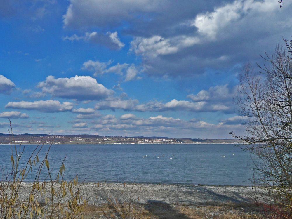 Blick Richtung Meersburg