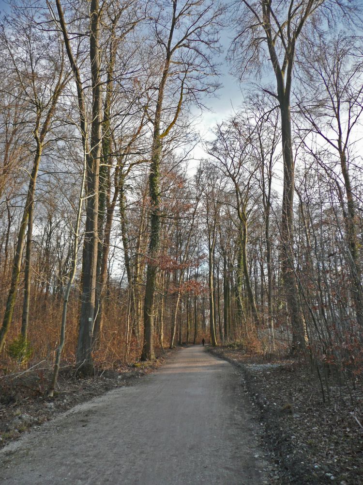 Im Lorettowald