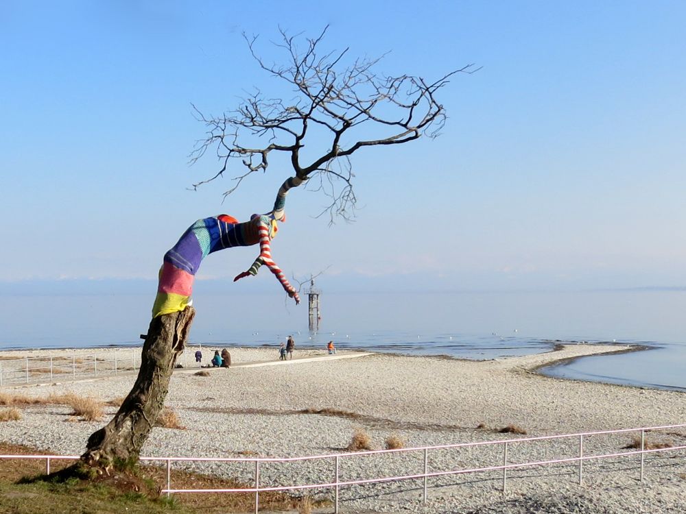 bekleideter Baum