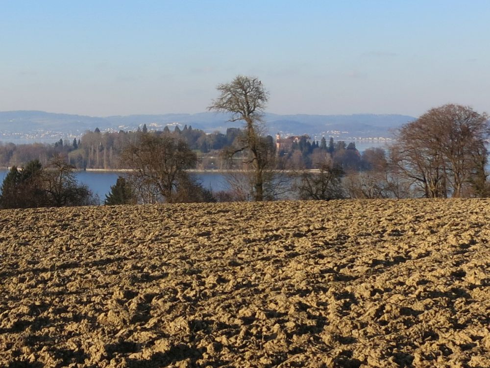 Blick Richtung Mainau