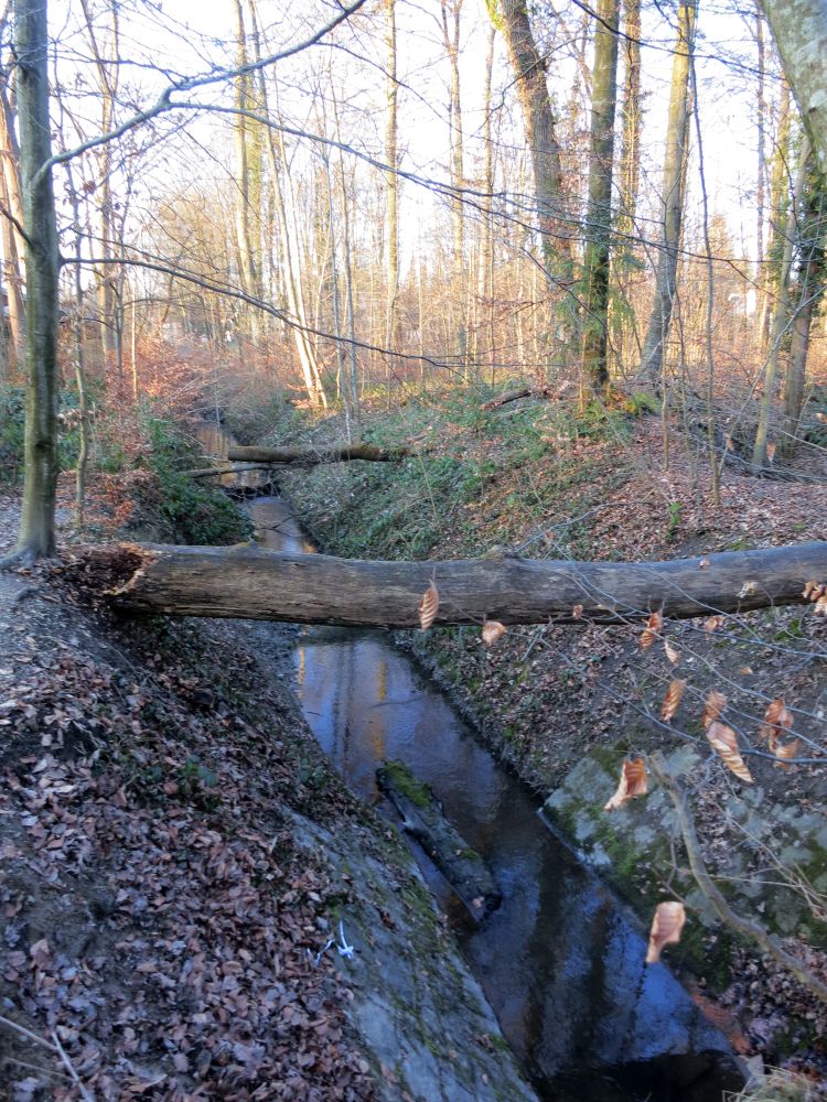 Graben im Lorettowald