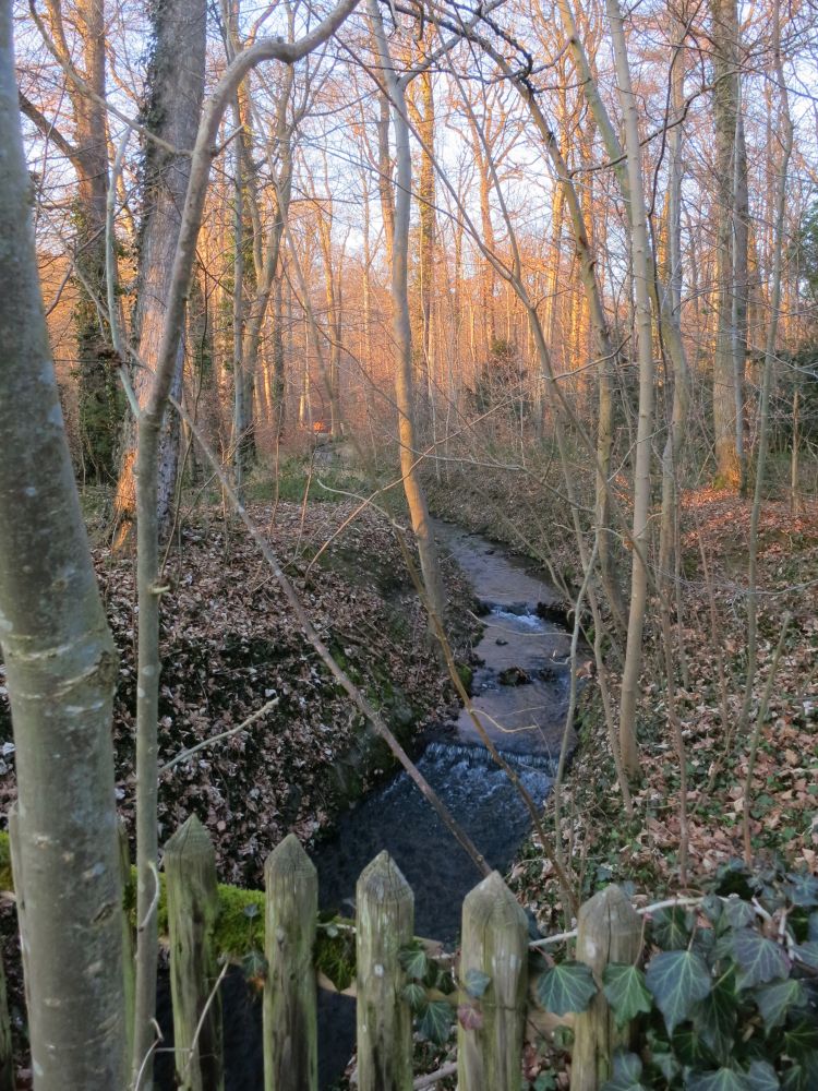 Graben im Lorettowald