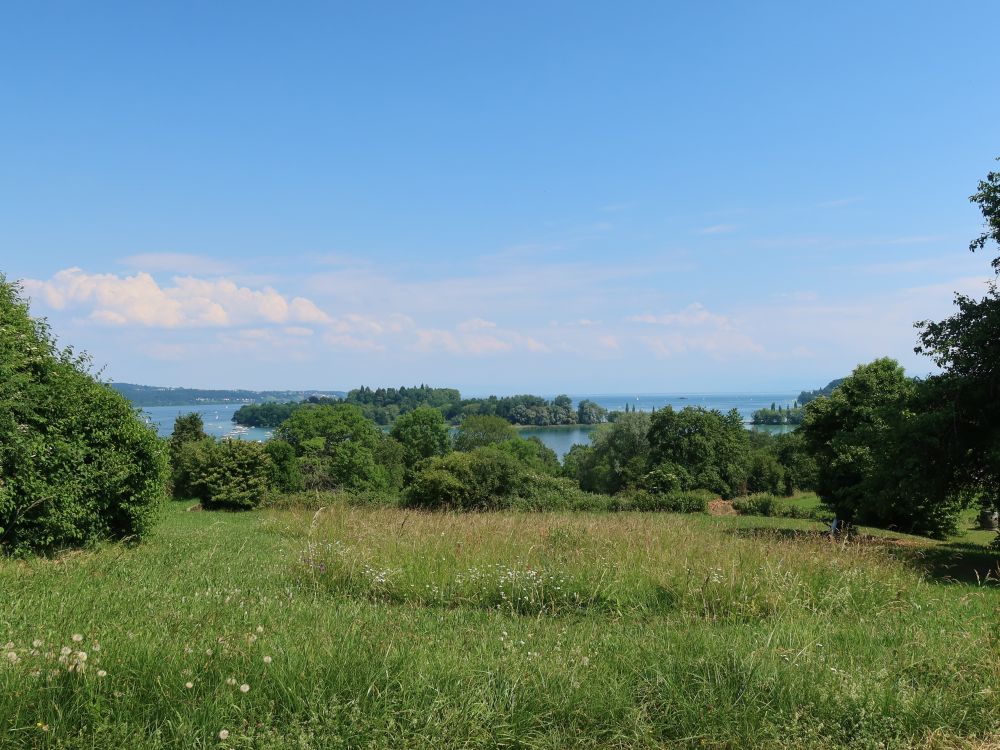 Blick zur Mainau