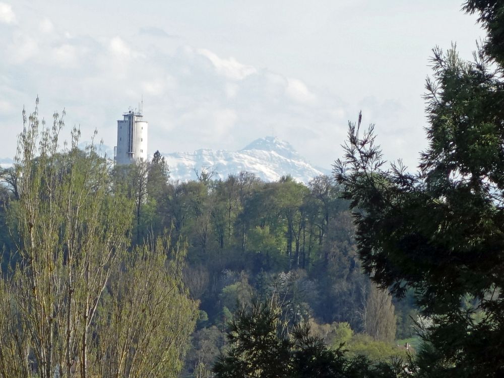Jugendherbergsturm und Säntis