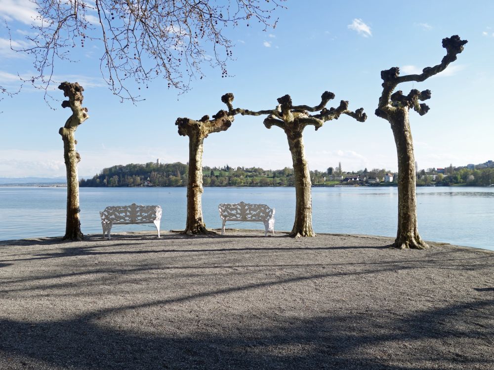 Sitzbänke und Krähenberg