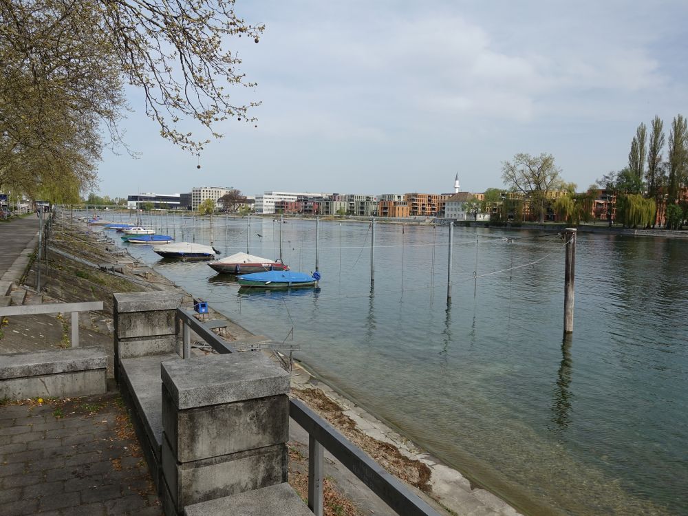 Blick über den Rhein