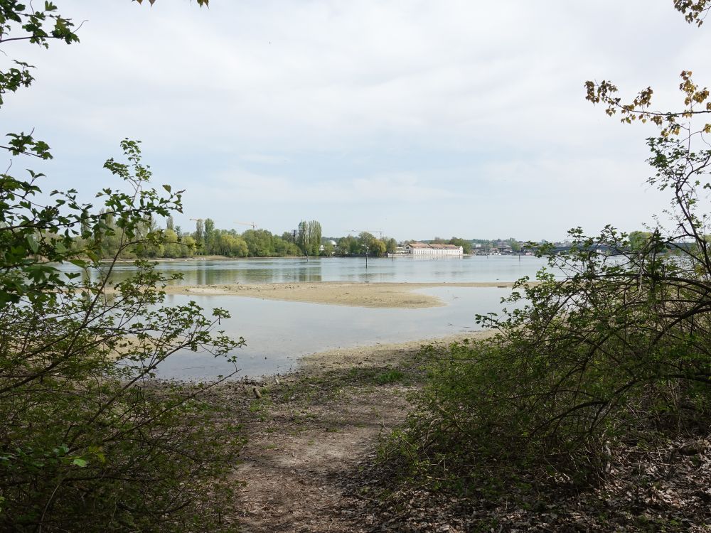 Blick über den Rhein zur Bleiche