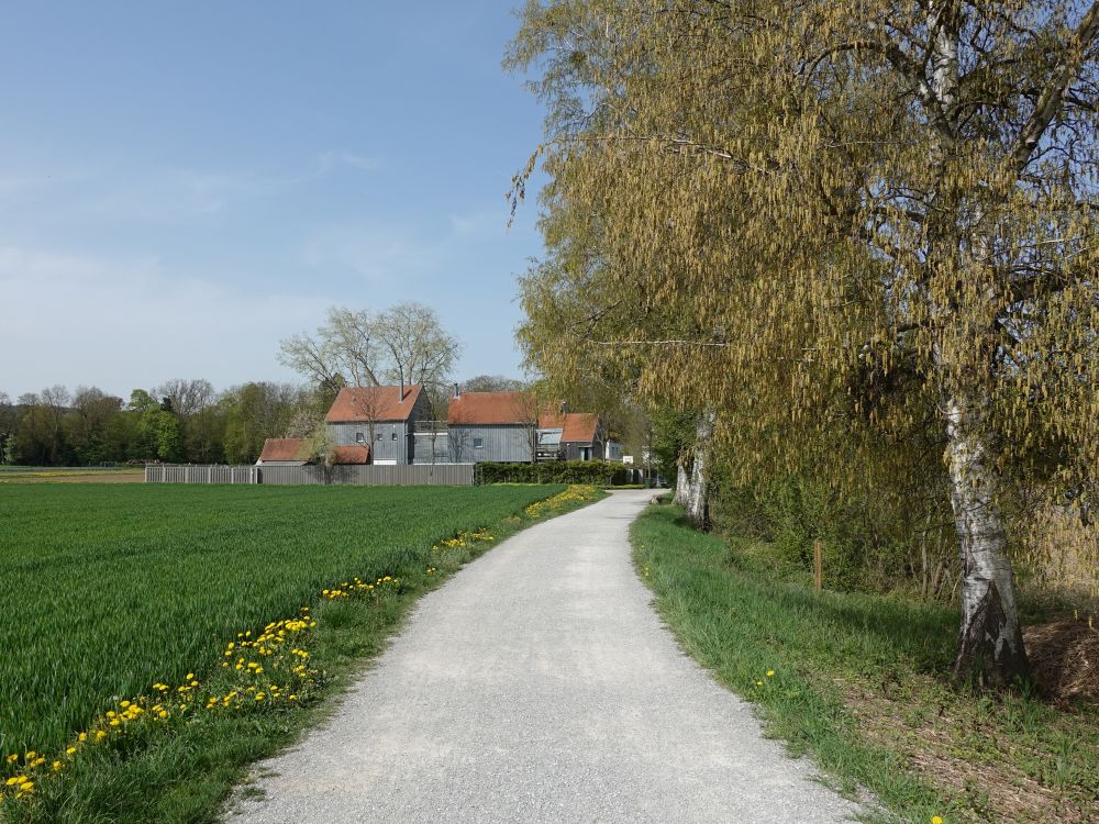 Rheinweg bei Gottlieben