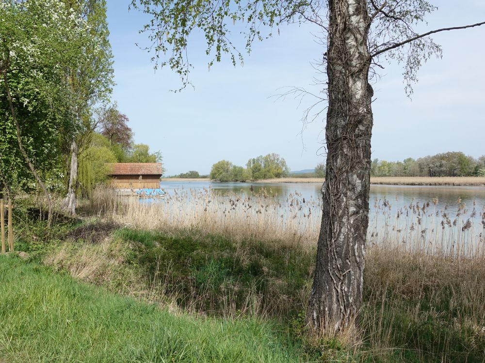 Rhein bei Gottlieben