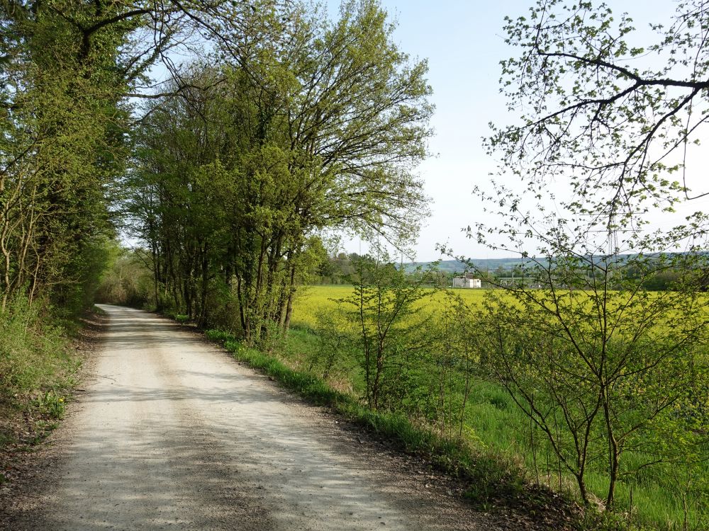 Lehnbergweg