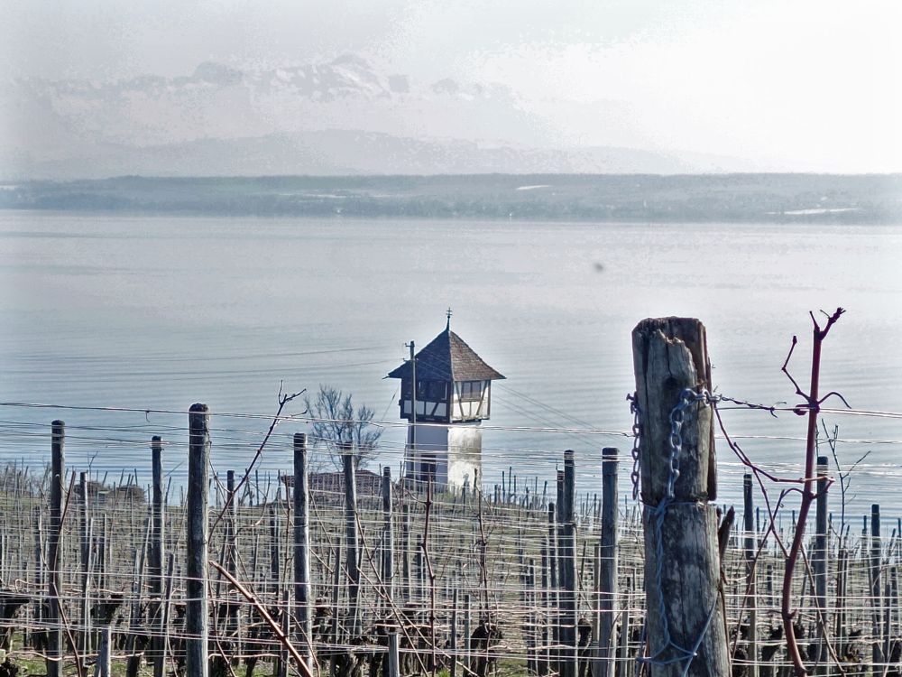 Turm im Weinberg