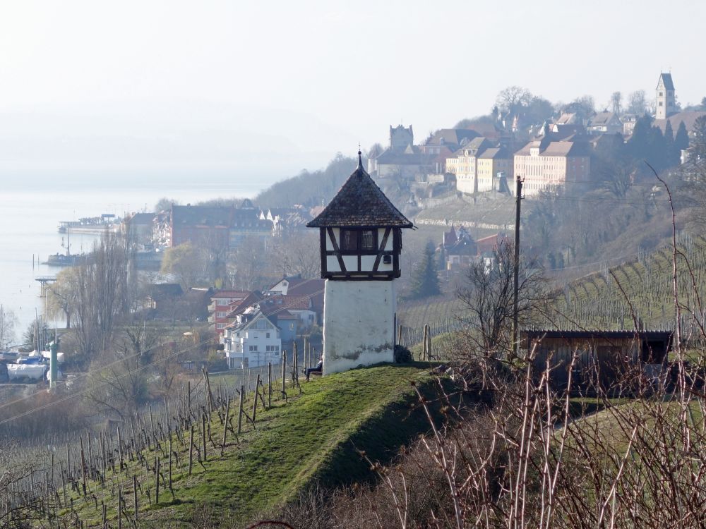 Turm im Weinberg