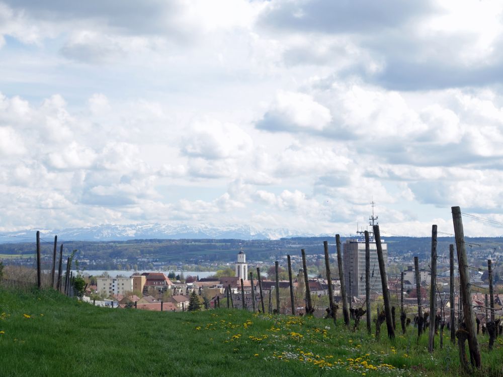 Petershausen und Alpen