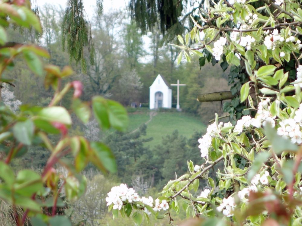 Riesenbergkapelle