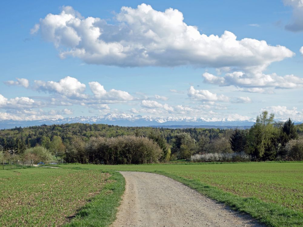 Alpensicht vom Purren