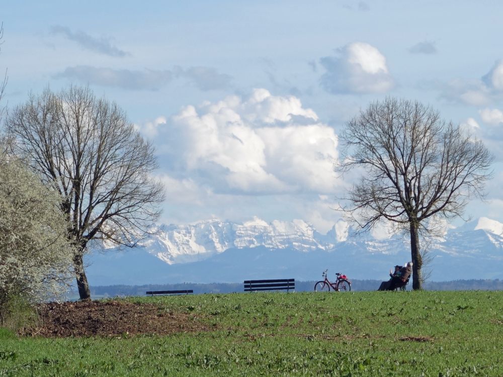 Alpensicht vom Purren