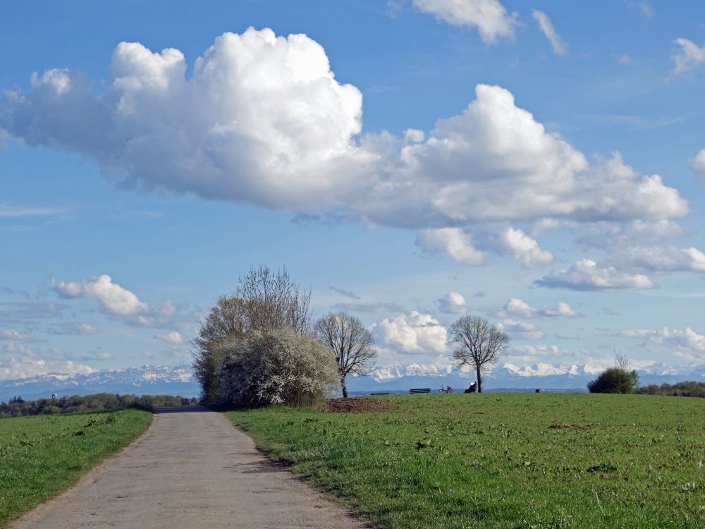 Alpensicht vom Purren