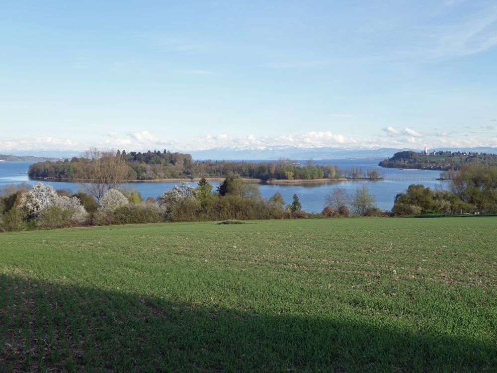 Insel Mainau