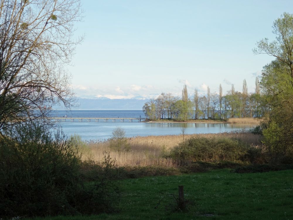 Steg zur Mainau