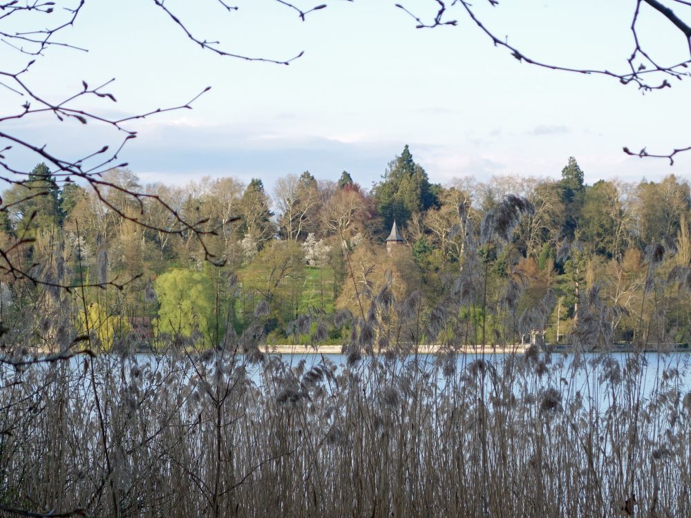 Blick zur Mainau