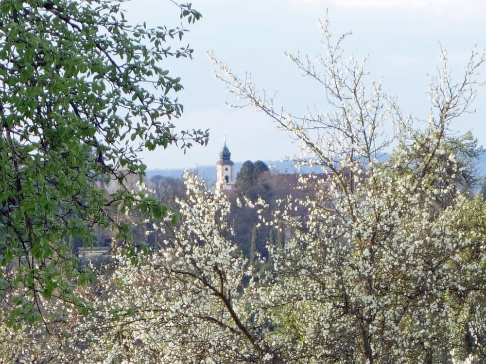 Schlosskirche Mainau