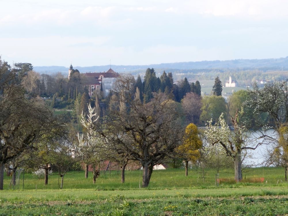 Schlosskirche Mainau