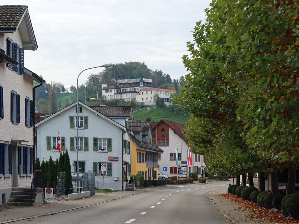 Kleinrigi