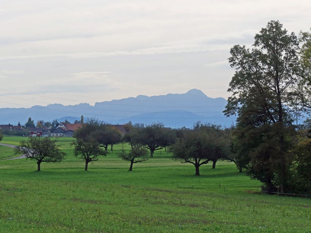 Säntis