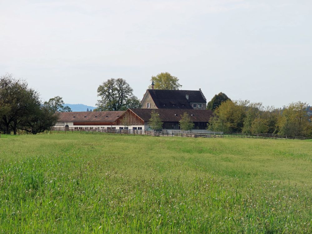 Schloss Oetlishausen