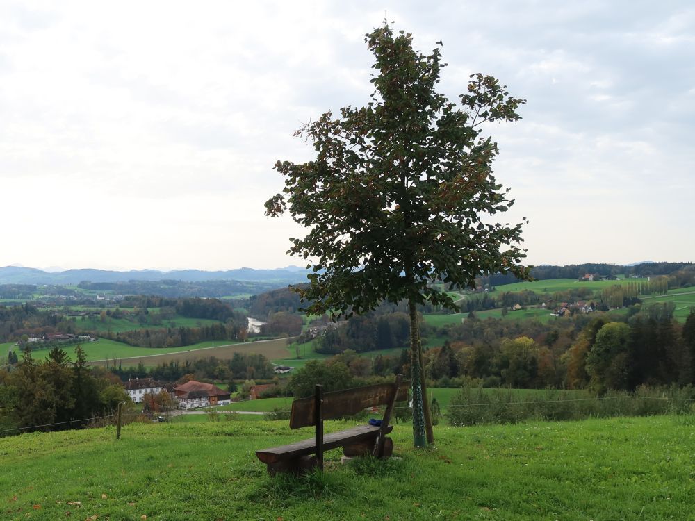 Sitzbank mit Thurblick