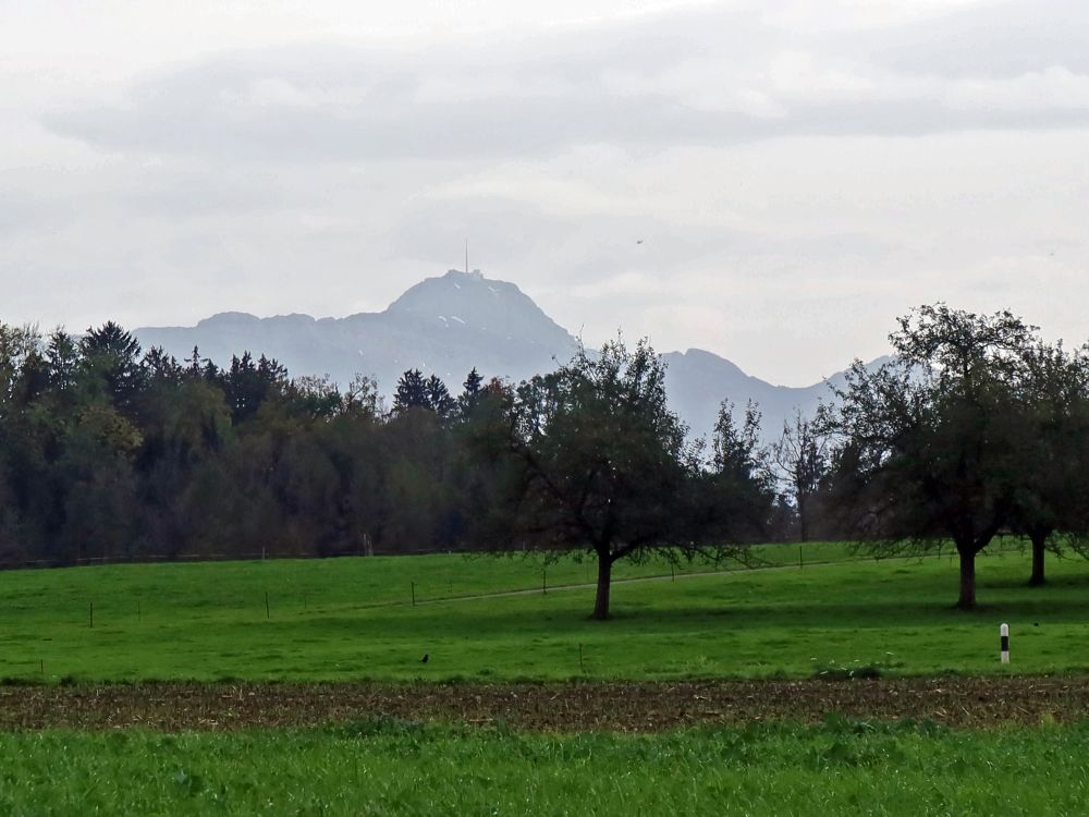 Säntis