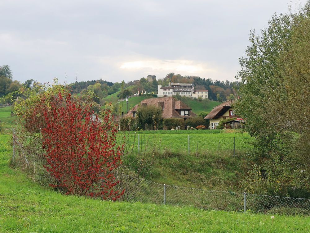 Kleinrigi und Ruine Last