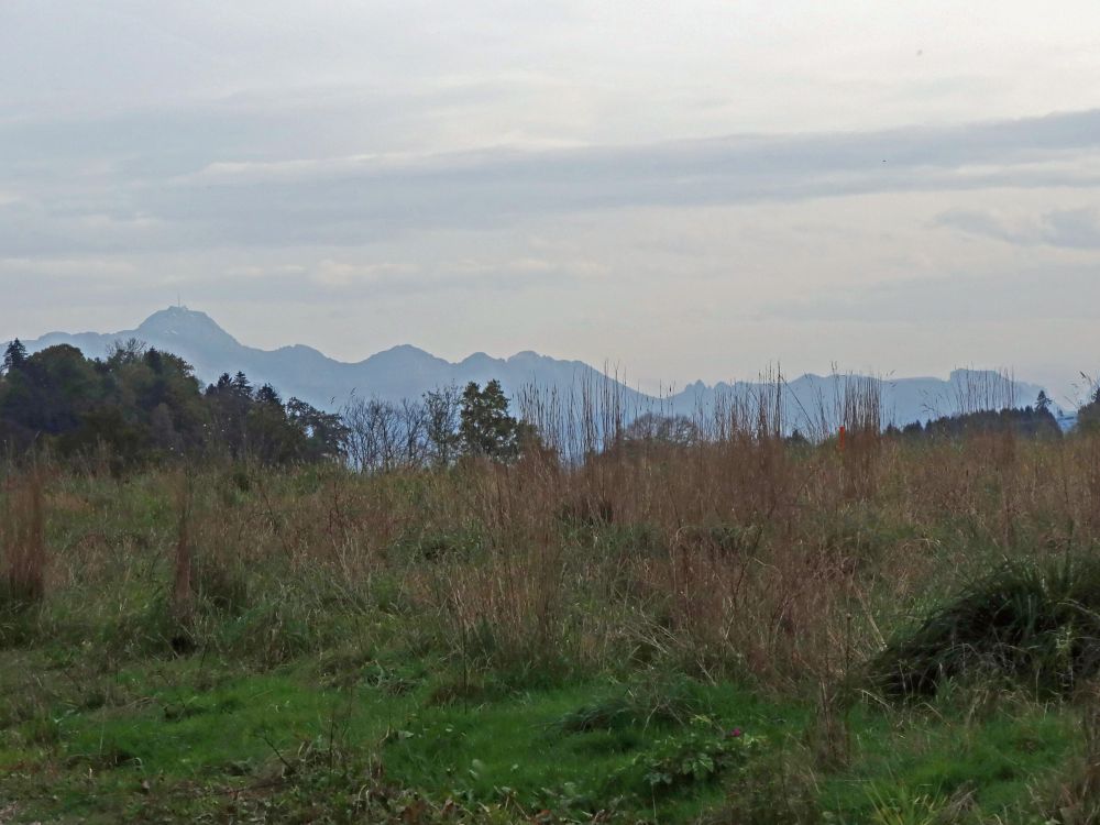 Säntis bis Lütispitz