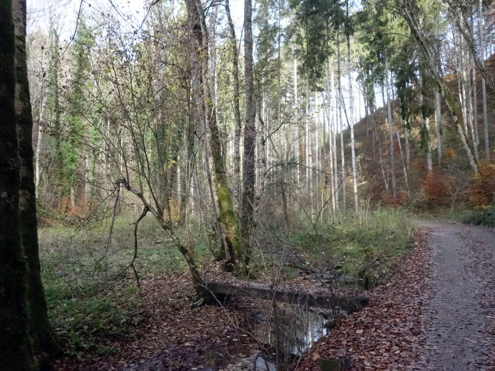 Krebsbachtal