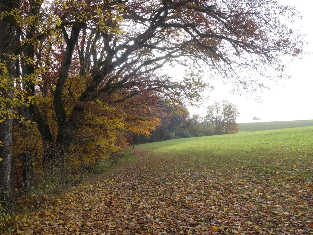 Herbstfarben