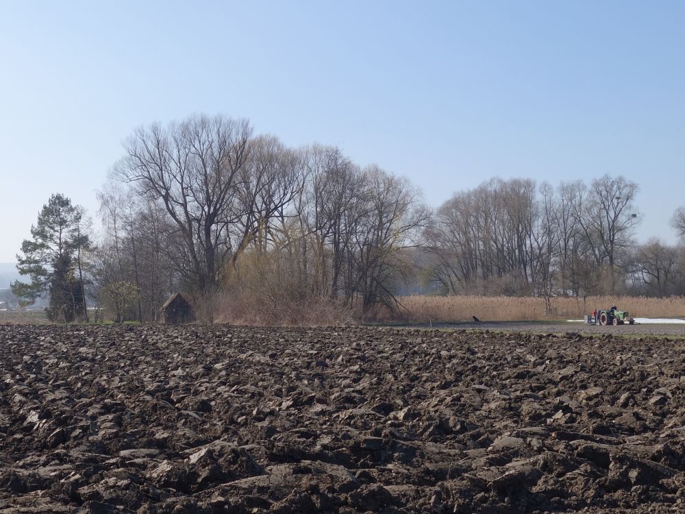 Acker im Tägermoos