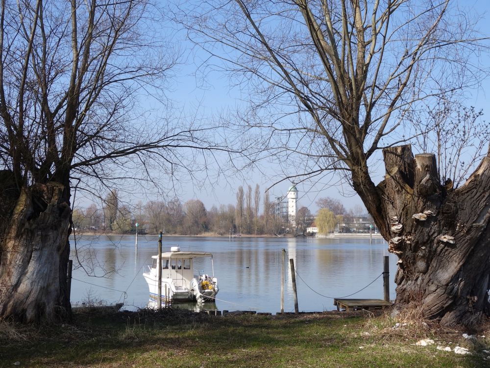 Blick über den Rhein