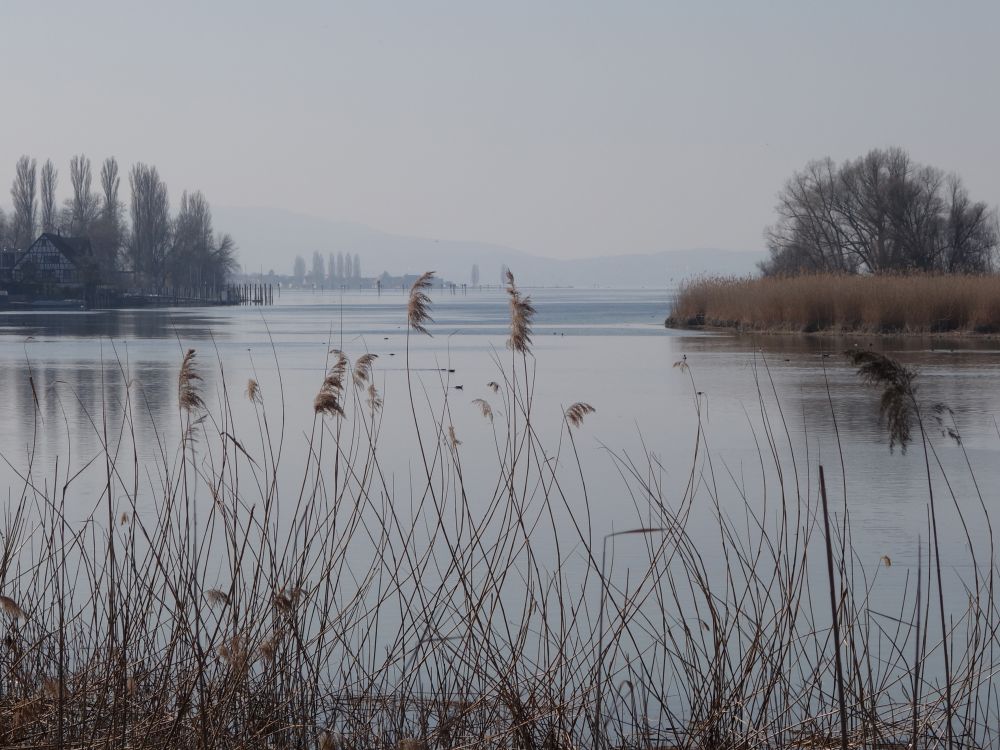 Rhein bei Gottlieben