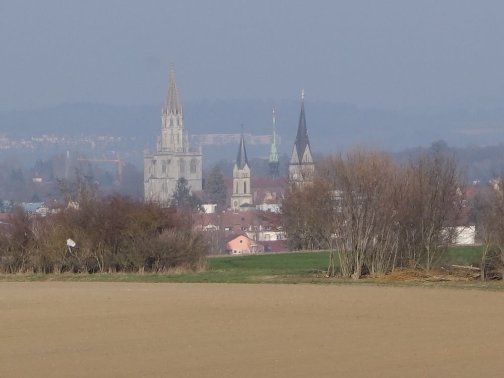 Konstanzer Münster