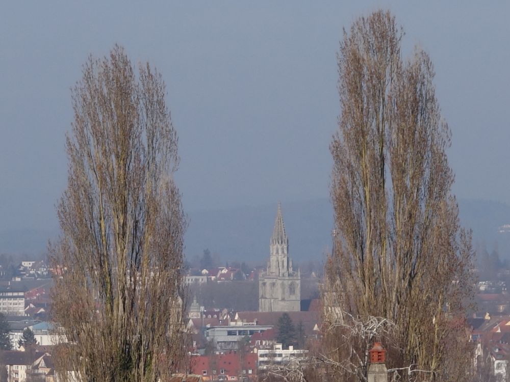 Konstanzer Münster