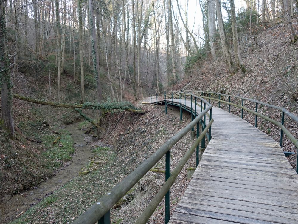 Schlossbüeltobel