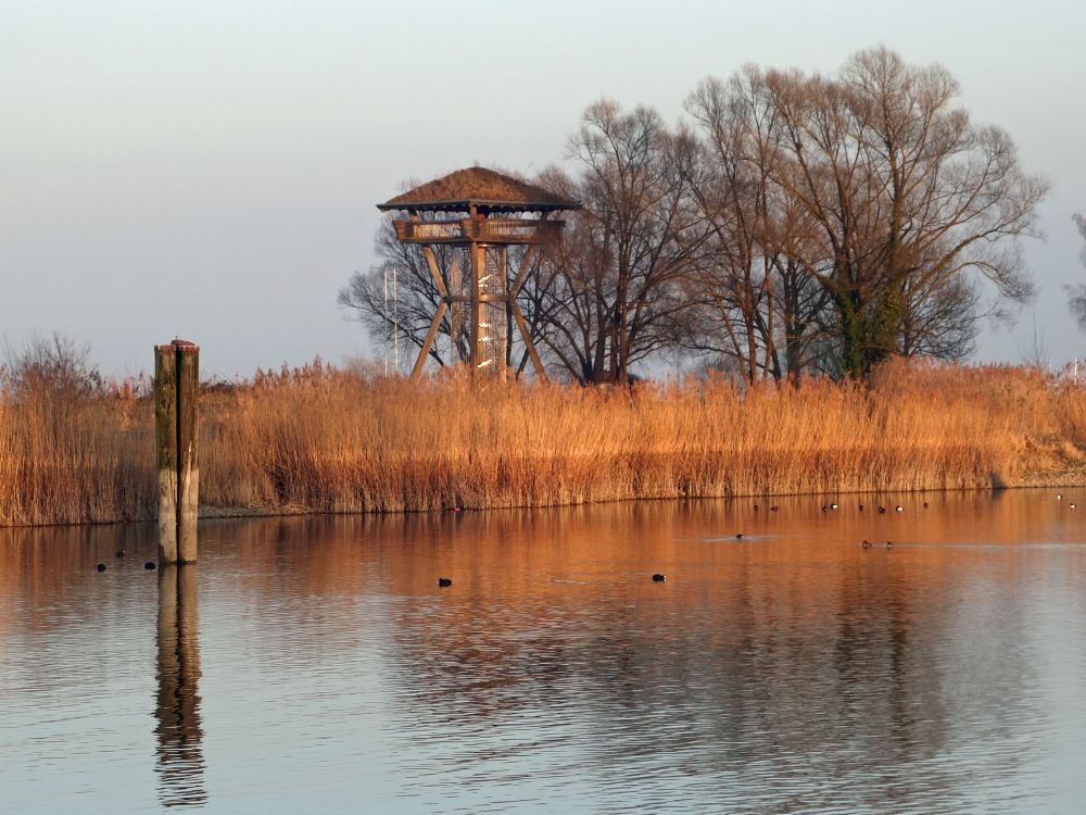 Aussichtsturm am Hafen Kreuzlingen