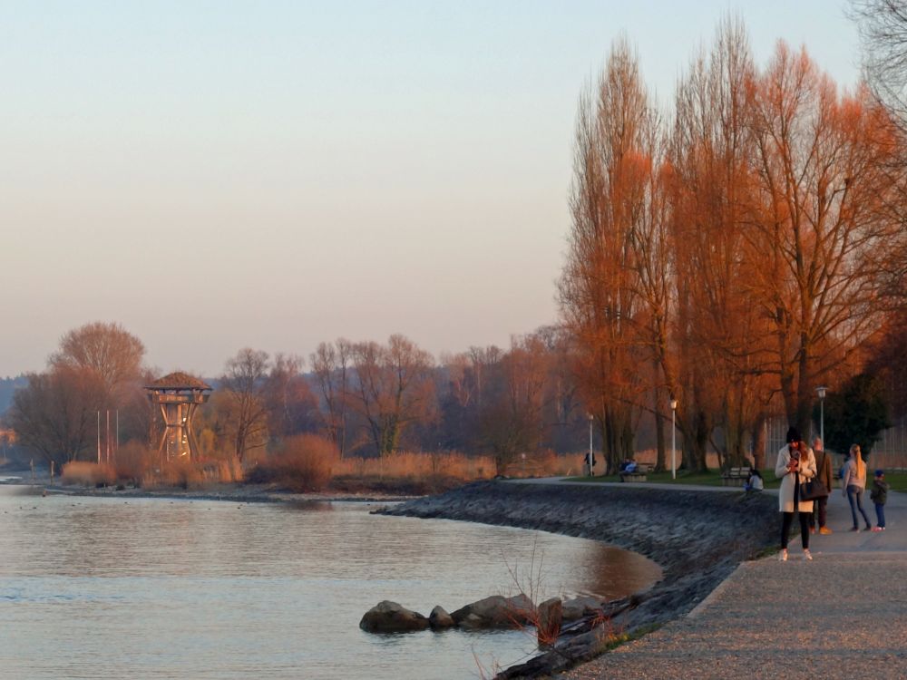 Bodenseeufer bei Klein Venedig