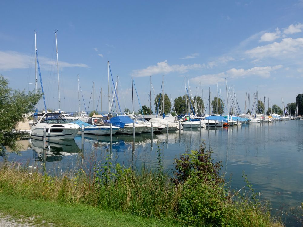 Bootshafen Seegarten