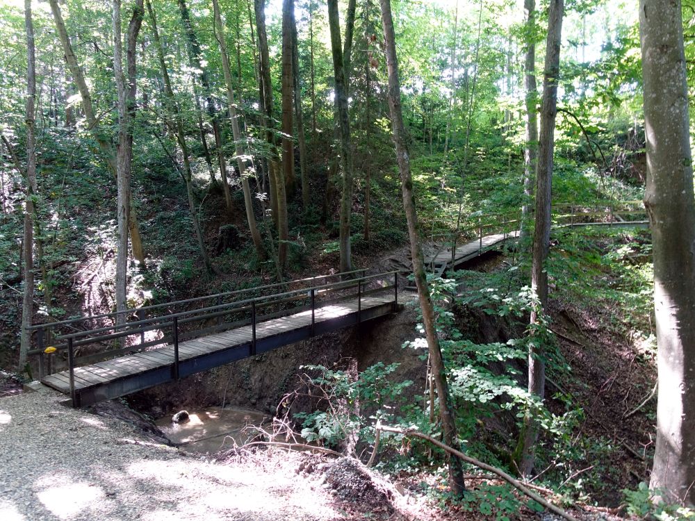 Holzsteg im Besmertobel