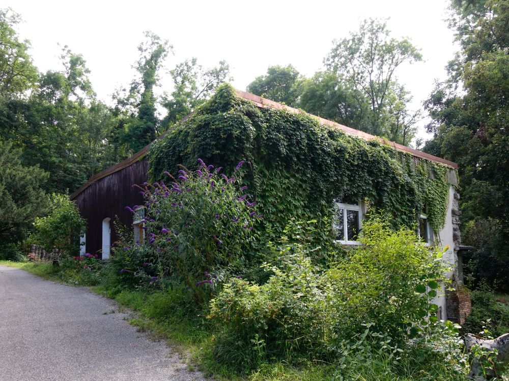Holzhaus bei Chnochenmüli